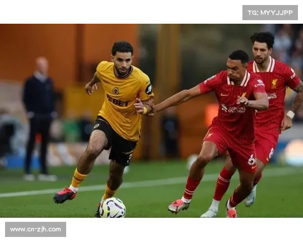 狼队宣布奇基尼奥转会阿尔韦卡 膝伤终结英超生涯开启新篇章